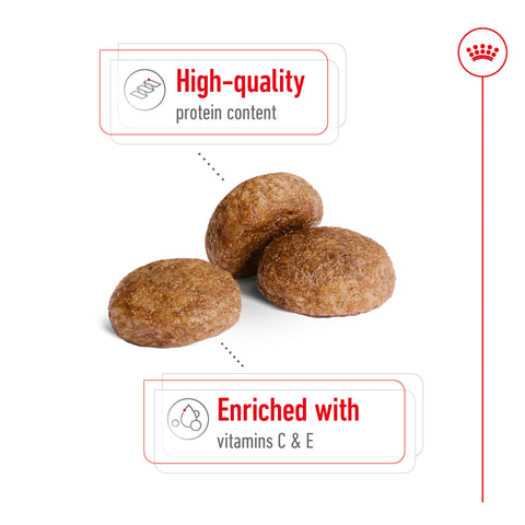 Royal Canin Medium Adult Dog 7+ 15kg