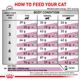 Royal Canin Cat Renal 2kg