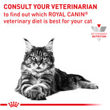 Royal Canin Cat Renal 2kg