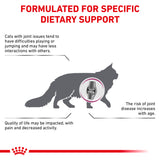 Royal Canin Cat Mobility 2kg