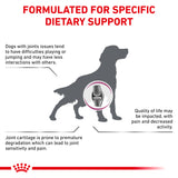 Royal Canin Canine Mobility C2P+