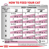 Royal Canin Cat Renal Sachets Chicken (in gravy) 85g x 12 Sachets