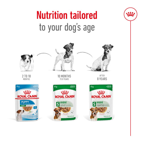 Royal Canin Mini Ageing 12+ (in gravy) 12 x 85gm sachets