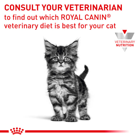 Royal Canin Veterinary Feline Gastrointestinal Kitten Canned Wet Cat Food 195g