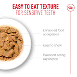 Royal Canin Cat Ageing 11+ (in Jelly) 85g x 12 Sachets