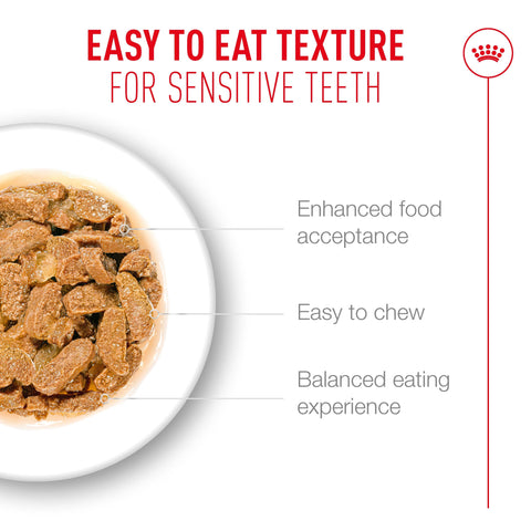 Royal Canin Cat Ageing 11+ (in Jelly) 85g x 12 Sachets