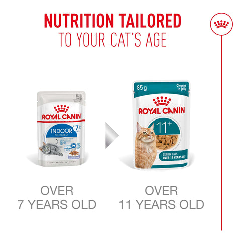Royal Canin Cat Ageing 11+ (in Jelly) 85g x 12 Sachets