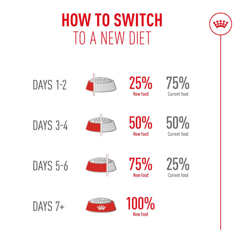 Royal Canin Cat Ageing 11+ (in Jelly) 85g x 12 Sachets