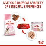 Royal Canin Mother and Babycat Mousse 195g Can