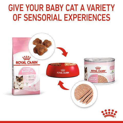 Royal Canin Mother and Babycat Mousse 195g Can