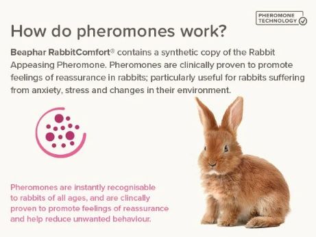 RabbitComfort® Calming Spray 30mL
