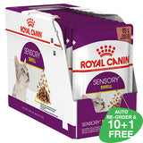 Royal Canin Feline Sensory Smell Gravy 12 x 85g Sachets