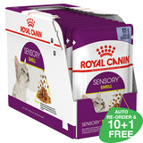 Royal Canin Feline Sensory Smell Jelly 12 x 85g Sachets