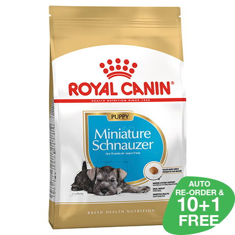 Royal Canin Miniature Schnauzer Junior 1.5kg