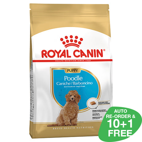 Royal Canin Poodle Junior 3kg