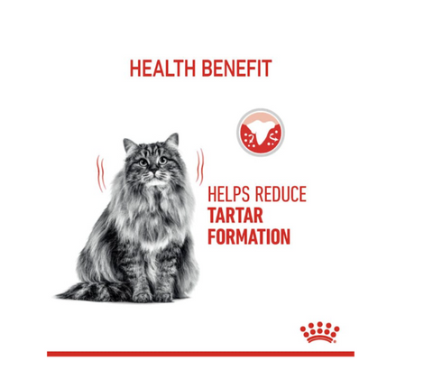 Royal Canin Cat Dental Care