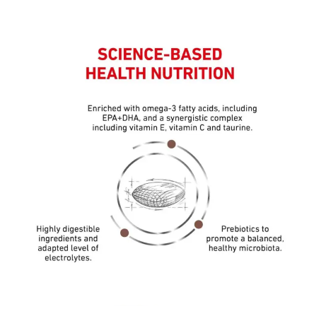 Royal Canin Dog Gastrointestinal Low Fat Small Dog 3.5kg
