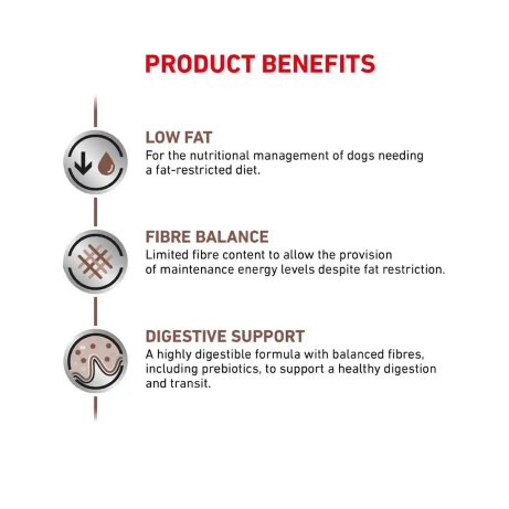 Royal Canin Dog Gastrointestinal Low Fat Small Dog 3.5kg