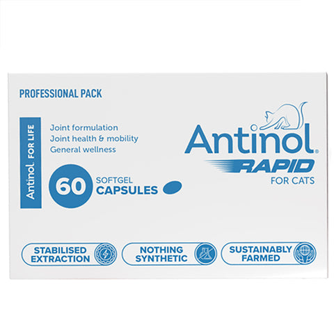 Antinol® Rapid for cats