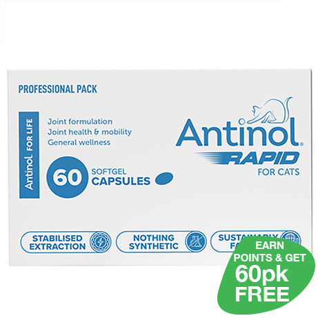 Antinol® Rapid for cats