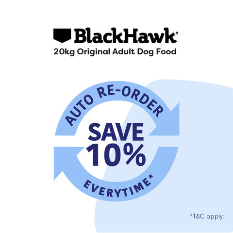 Black Hawk Adult Dog Large Breed Chicken 20kg