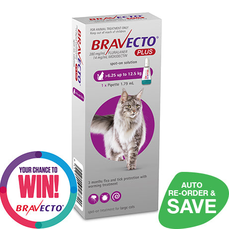 Bravecto for cats without vet prescription hotsell