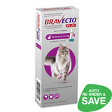 Bravecto Plus Spot-On For Large Cats 6.25 to 12.5kg