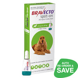 Bravecto Spot On Medium Dog 10-20kg