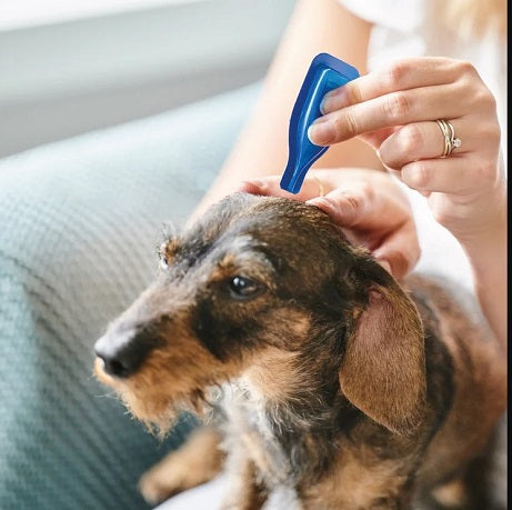 CaniComfort Calming Spot-On 3 Pack For Dogs