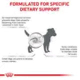 Royal Canin Dog Gastrointestinal Low Fat Small Dog 3.5kg