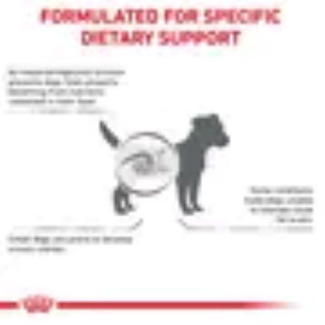 Royal Canin Dog Gastrointestinal Low Fat Small Dog 3.5kg