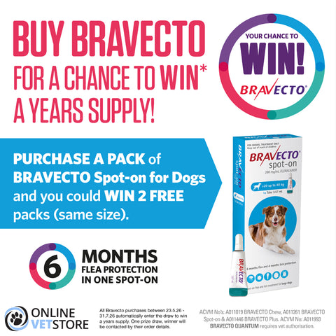 Bravecto Spot On Small Dog 4.5-10kg