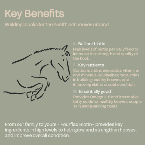 FOURFLAX Equine Biotin+