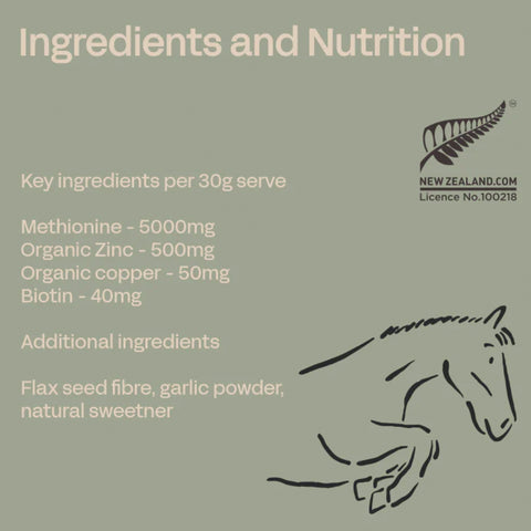 FOURFLAX Equine Biotin+