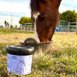 FOURFLAX Equine Calm 1kg