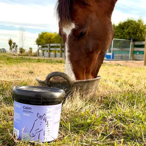 FOURFLAX Equine Calm 1kg