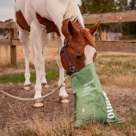 FOURFLAX Equine Flax Seed Flake