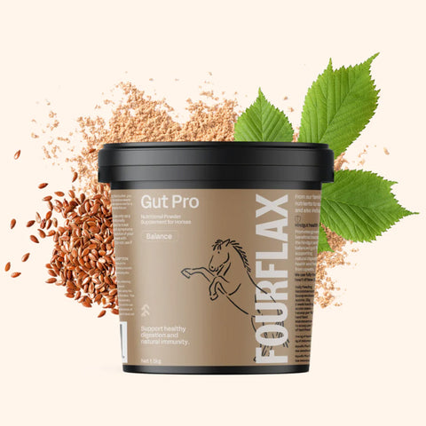 FOURFLAX Equine Gut Pro