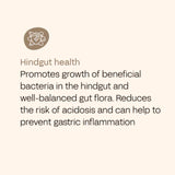 FOURFLAX Equine Gut Pro