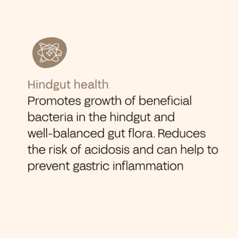 FOURFLAX Equine Gut Pro