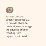 FOURFLAX Equine Gut Pro