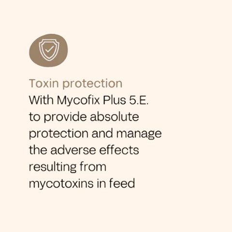 FOURFLAX Equine Gut Pro