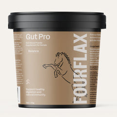 FOURFLAX Equine Gut Pro