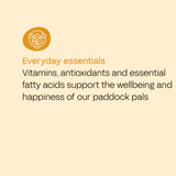 FOURFLAX Equine Muscle Powder 400g