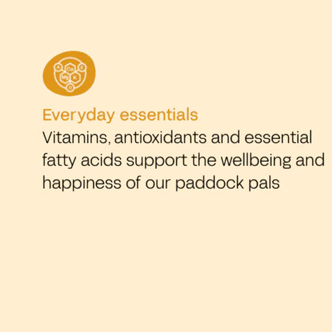 FOURFLAX Equine Muscle Powder 400g