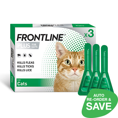 Best cheap flea medicine for cheap cats