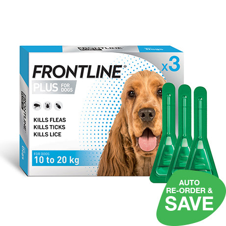 FRONTLINE Plus for Medium Dogs