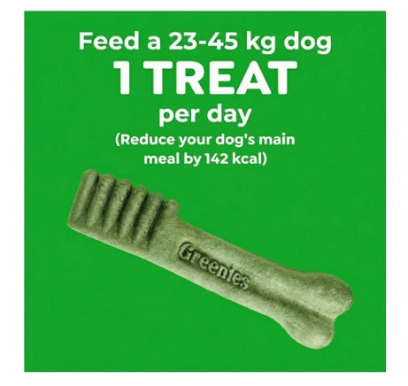 Greenies Dental Chews Blueberry Large 8 Pack