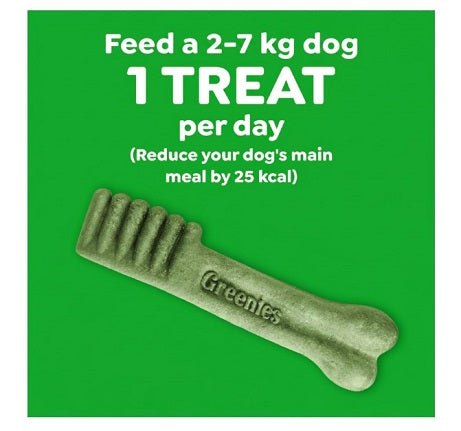 Greenies Dental Chews Blueberry Teenie 43 Pack