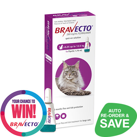 Bravecto flea treatment for cats best sale